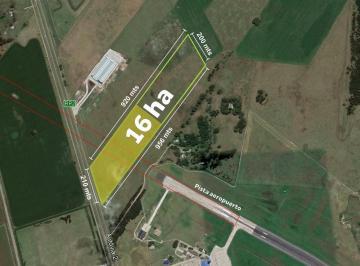 Campo · 160000m² · Mar del Plata - 16 Has Sobre Autovia 2. Ideal Desarrollo.