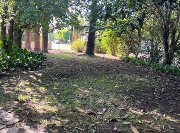 Vista desde el fondo hacia el frente · Excelente Lote a La Venta, Calle Blanco Encalada Al 800,gral Pacheco, Tigre