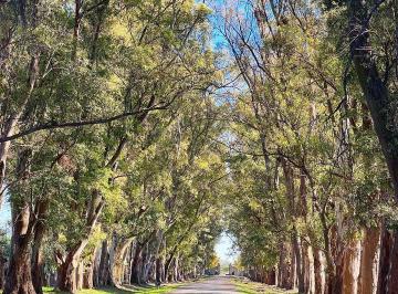 Terreno · 2311m² · Lote a La Venta en Chacras de San Andres