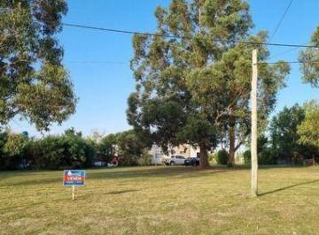 SCB-SCB-172_2 · Terreno - Miramar
