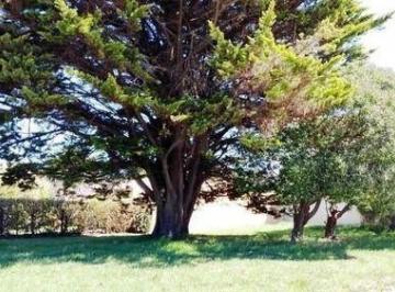 SCB-SCB-195_2 · Terreno en Venta Ubicado en Miramar, Costa Atlántica, Buen