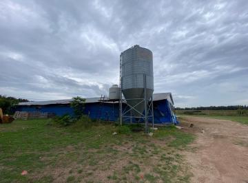 Campo · 2486m² · 3 Ambientes · Campo en Venta Escalada