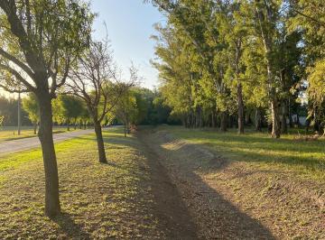 2.853 m² | Frente a arboleda añeja 

 USD 19.500

Excelente terreno, uno de los  · Lote Premium en Campos de Roca – Ubicación Privilegiada