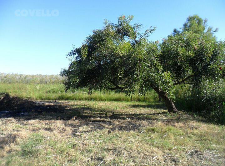 Terreno · 10499m²