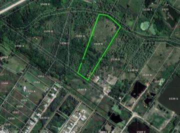 Campo · 40000m² · Campo en Venta