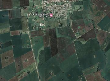 Campo · 500000m² · Campo Agrícola de 50 Hectáreas