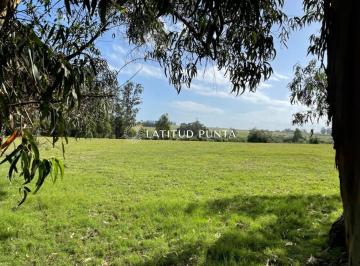 Foto1 · Venta Chacra 5 Has Jose Ignacio