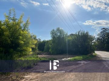 Terreno , El Sauce · Carril Mathus Hoyos. Terreno