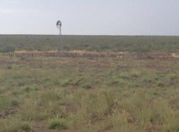 Campo · Venta Campo de Cria de 2677 Ha en Puelches La Pampa