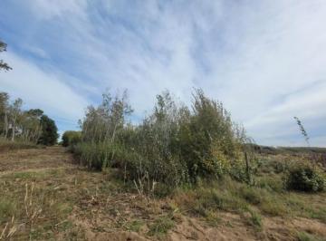 Terreno , General Lavalle · Hectárea en Venta Paraje Pavón