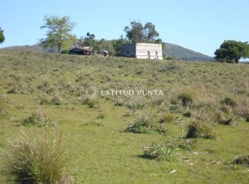 Foto1 · Campo 98 Has con 2891 m² en Carape Cuenta con Costa de Arroyo.