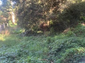 Terreno · 1m² · Lote - Bosque Peralta Ramos