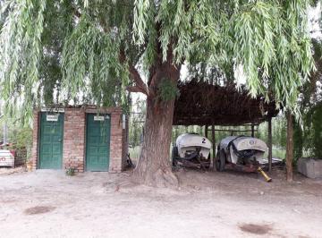 Campo · 1340m² · Chacra en Cipolletti Calle Rural A11, a 800 m Ruta Provincial 151, Km 7, Cipolletti
