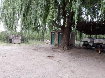 Campo · 134000ha · Chacra en Cipolletti Calle Rural A11, a 800 m Ruta Provincial 151, Km 7, Cipolletti