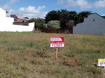 DIT-DIT-5801_2 · Lote. | Rebagliati