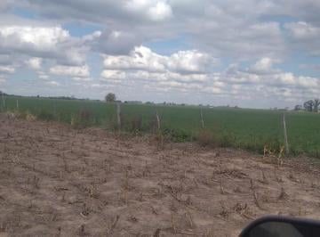 Campo · 580000m² · Campo en Clason
