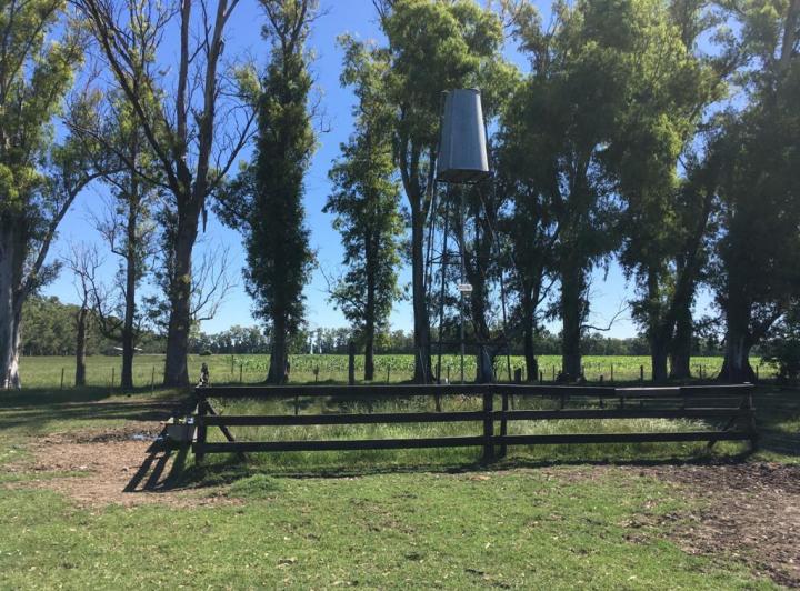 Campo · 110000ha