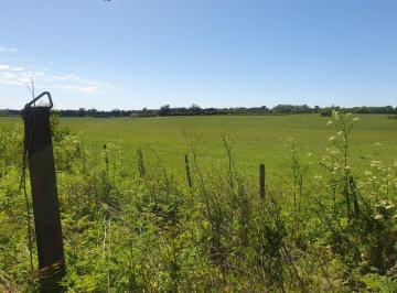 Terreno · 35000m² · Venta / Lote 3 y 1/2 Ha / Sierra de Los Padres