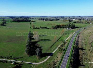 MRE-MRE-2046_2 · Chacra Para Emprendimiento Turistico en Venta en Chascomus