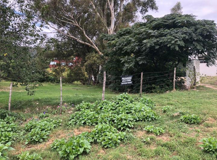 Terreno · 1657m²