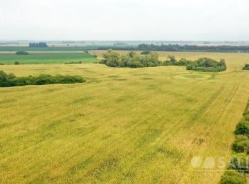 Campo · 570000m² · Campo Agrícola Sobre Ruta