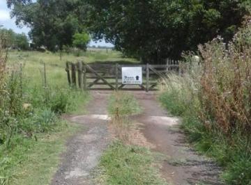 Campo · 1m² · Chacra en Venta de 9 Has en General Belgrano, Bs As.