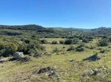 Campo · 55000m² · Chacra en Pueblo Edén