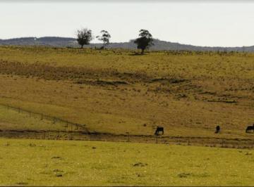 Campo · 60m² · Campo | Garzon
