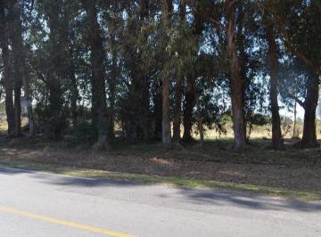 Terreno · Lote | Camino Eguzquiza