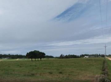Campo · 68400m² · Oportunidad Chacra en La Barra