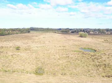 Campo · 100000m² · Chacra en La Barra