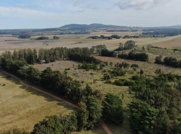 Campo · 60000m² · Campo - Piriápolis
