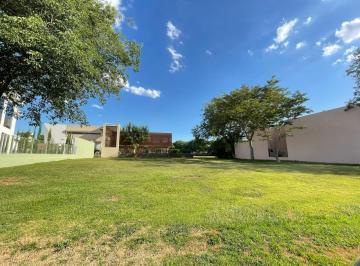 DBR-DBR-1536_2 · Lote. | Rakiura Country - Luque