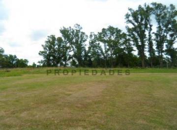 Terreno · 270m² · 27 y 422 - Terreno 9x30 en PH - Apto Banco - Villa Elisa