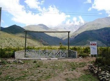 Terreno , Potrerillos · Lujan de Cuyo Mendoza