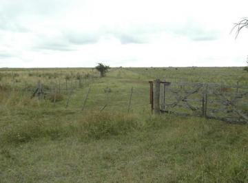 Campo · 1760000m² · 176 Has de Campo en Gral. Lavalle