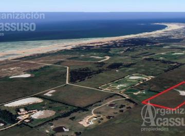 Campo · 59000m² · Chacra en Venta Arenas de José Ignacio 5,9 Hectáreas La Rinconada