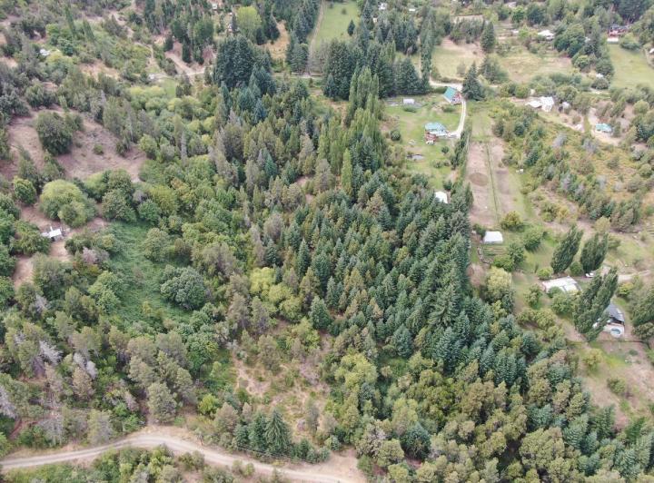 Terreno · 25000m²
