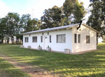Campo · 440000m² · 3 Ambientes · Campo 44 Has Las Flores con Criadero de Cerdo
