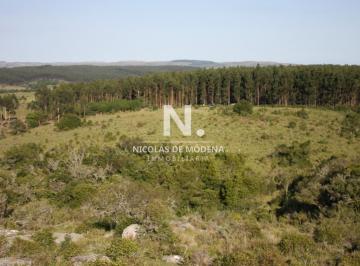 Foto1 · Chacra de 5 Has en Venta a Solo 23 Km de Garzon, Maldonado