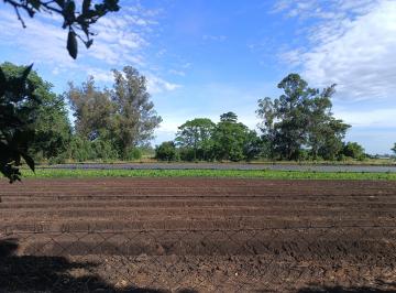 Terreno de 6 ambientes, Mar del Plata · Parque Logistico
