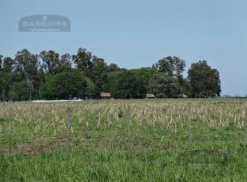 Campo · 11000000m² · Campo en 25 de Mayo