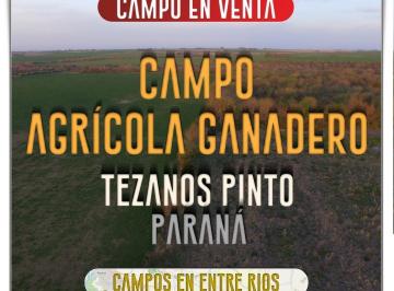 Campo , Tezanos Pintos · Campo Agricola - Ganadero en Venta. 39 Has Tezanos Pinto. Paraná. Entre Rios