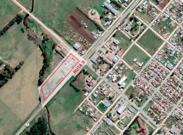 Terreno · 13000m² · Terreno - Tres Arroyos