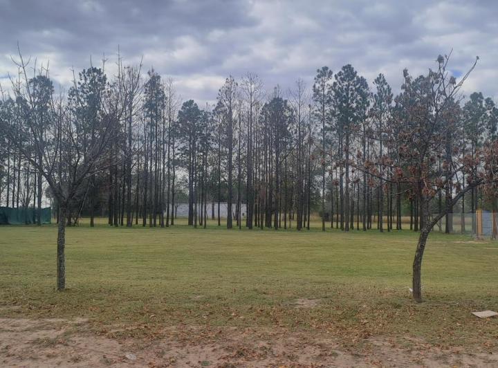 Terreno · 1057m²