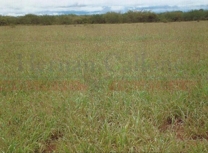 Campo · 2053m² · 1 Ambiente
