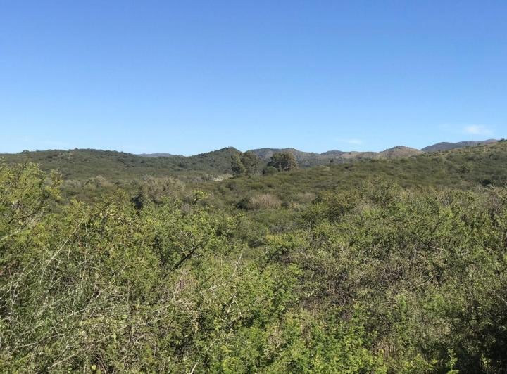 Terreno · 877m²