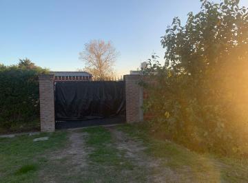 Casa de 5 ambientes, La Plata · Real Oportunidad! Casa de 4 Dorm. Sobre Av 13