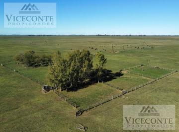 Casa , Ranchos · Campo 232,9 Ha Alegre, Partido de General Paz, Ranchos. Buenos Aires.