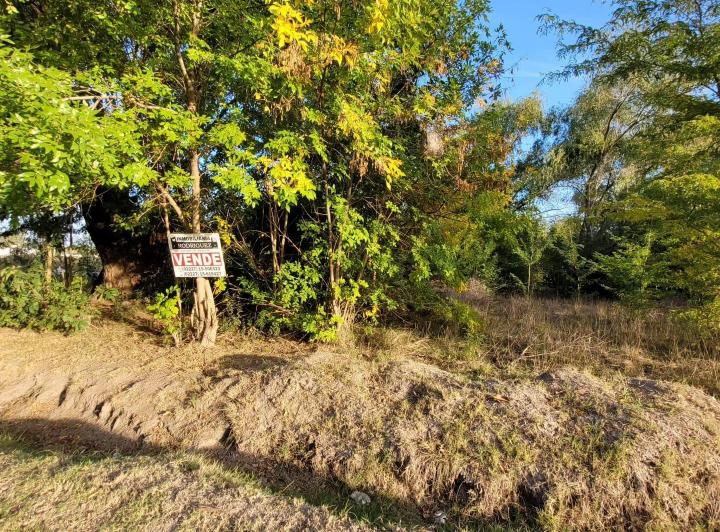 Terreno · 1000m²